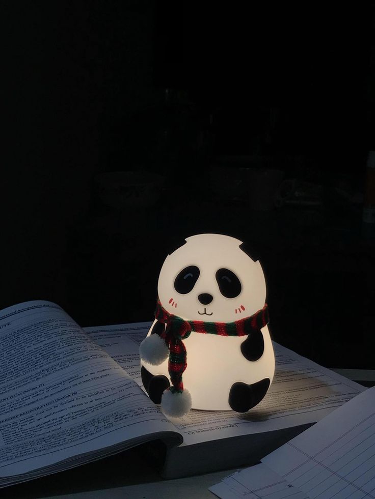 Cute Panda💞😍