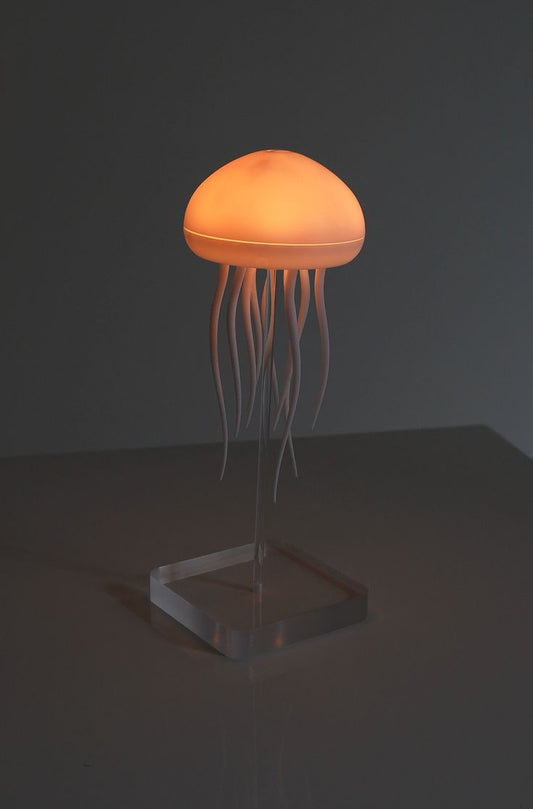JELLY FISH MOOD LIGHT